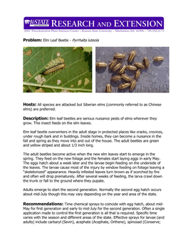 Problem: Elm Leaf Beetle - Pyrrhalta Luteola