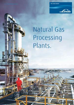 Natural Gas Processing Plants. 2