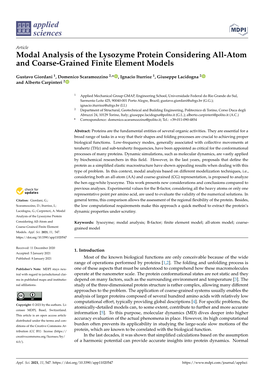 Modal Analysis of the Lysozyme Protein Considering All-Atom and Coarse-Grained Finite Element Models