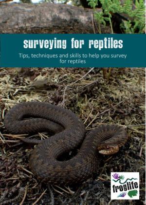 Surveying for Reptiles Tips, Techniques and Skills to Help You Survey for Reptiles