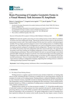 Brain Processing of Complex Geometric Forms in a Visual Memory Task Increases P2 Amplitude