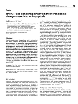 Rho Gtpase Signalling Pathways in the Morphological Changes Associated with Apoptosis