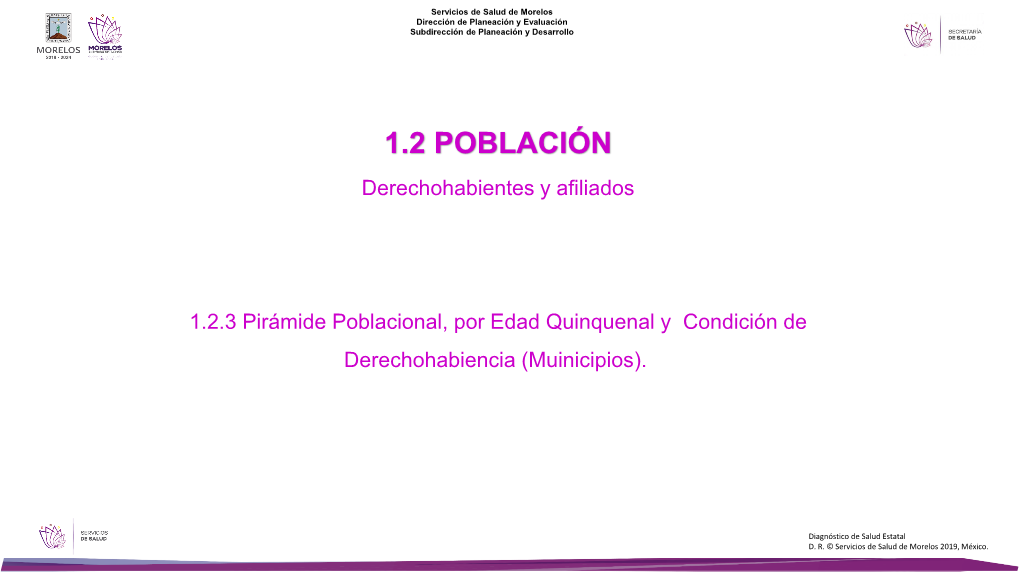 Derechohabientes Y Afiliados 1.2.3 Pirámide Poblacional, Por Edad