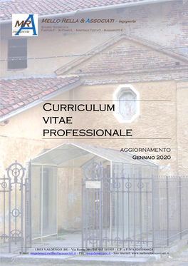 Curriculum Vitae Professionale