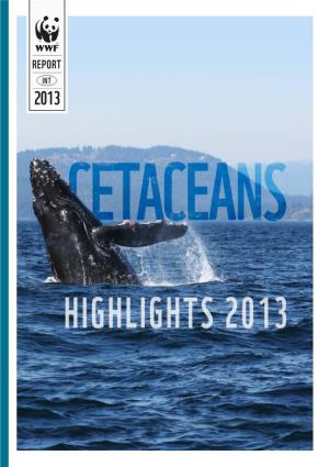 Cetaceans Highlights 2013 2.Pdf
