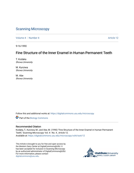 Fine Structure of the Inner Enamel in Human Permanent Teeth