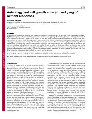 Autophagy and Cell Growth – the Yin and Yang of Nutrient Responses