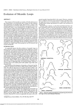 Evolution of Meander Loops