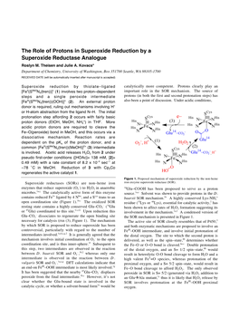The Role of Protons in Superoxide Reduction by a Superoxide Reductase Analogue Roslyn M