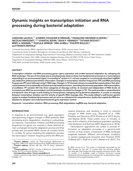 Dynamic Insights on Transcription Initiation and RNA Processing During Bacterial Adaptation