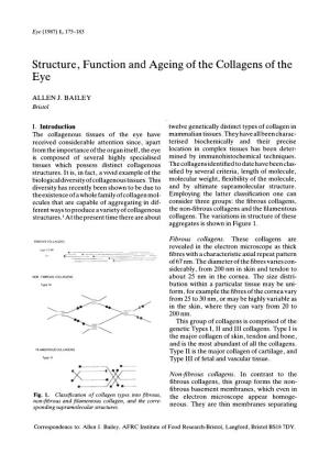 Structure, Function and Ageing of the Collagens of the Eye
