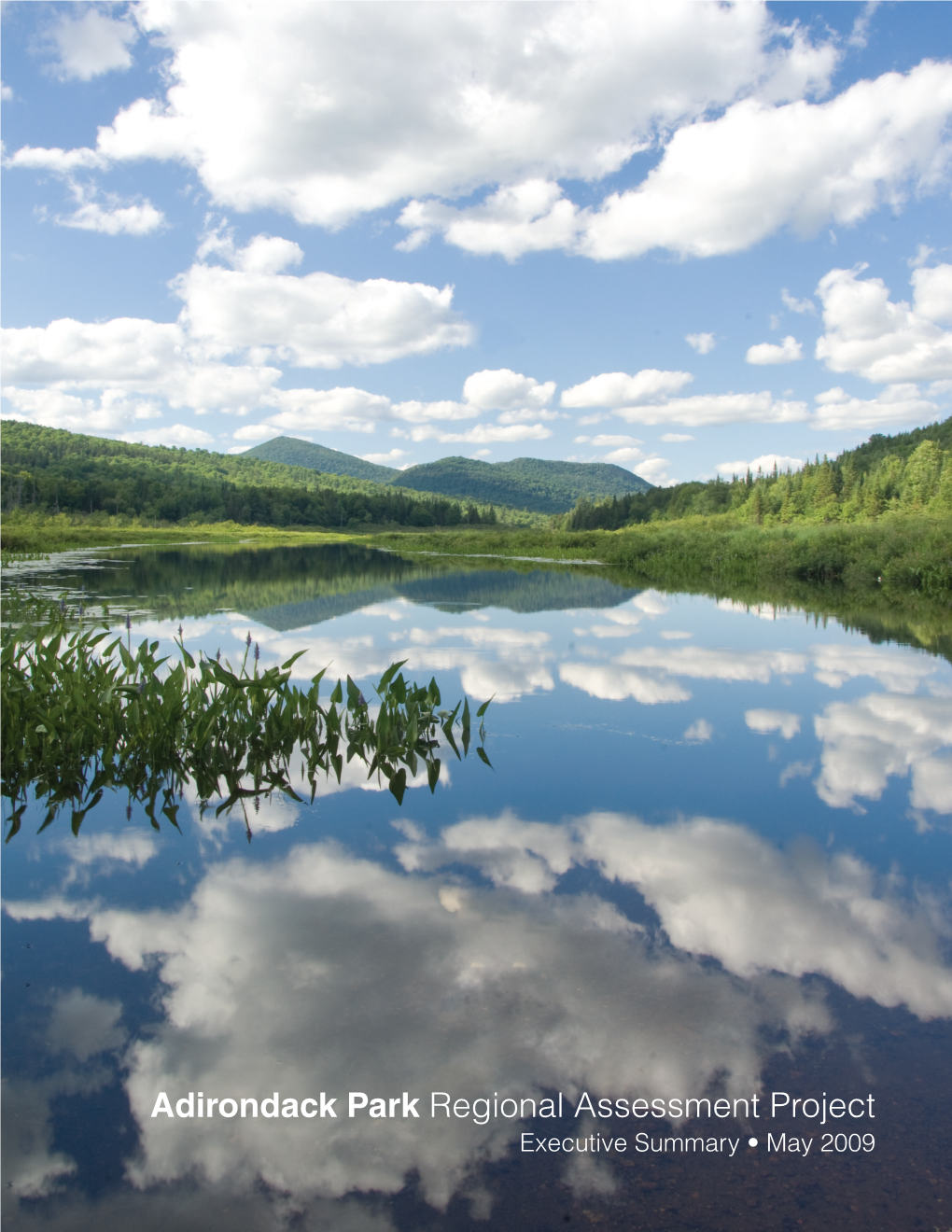 Adirondack Park Regional Assessment Project Executive Summary • May 2009 the Photo on the Opposite Page Is a Composite Image of Layers Provided by NASA and NOAA