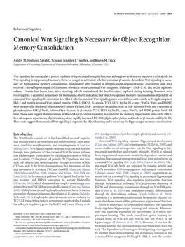 Canonical Wnt Signaling Is Necessary for Object Recognition Memory Consolidation