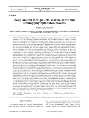 Zooplankton Fecal Pellets, Marine Snow and Sinking Phytoplankton Blooms