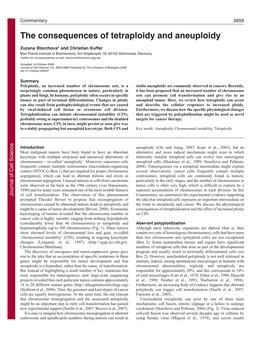 The Consequences of Tetraploidy and Aneuploidy