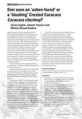 Ever Seen an 'Ashen-Faced' Or a 'Blushing' Crested Caracara Caracara Cheriway?