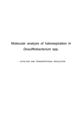 Molecular Analysis of Halorespiration in Desulfitobacterium Spp