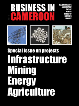 Special Issue on Projects Infrastructure Mining Energy Agriculture