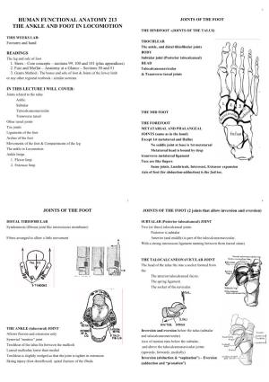 Human Functional Anatomy 213 the Ankle and Foot In