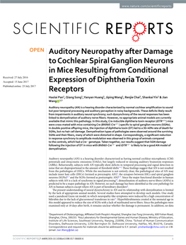 Auditory Neuropathy After Damage to Cochlear Spiral Ganglion Neurons