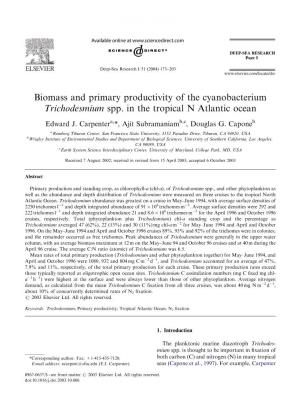 Biomass and Primary Productivity of the Cyanobacterium Trichodesmium Spp