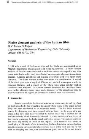 Finite Element Analysis of the Human Tibia