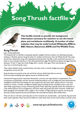Song Thrush Factfile