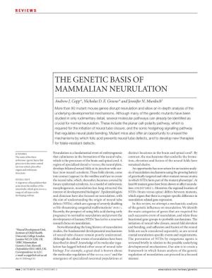The Genetic Basis of Mammalian Neurulation