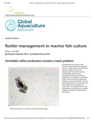 Rotifer Management in Marine Fish Culture