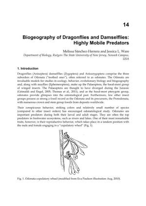 Biogeography of Dragonflies and Damselflies: Highly Mobile Predators