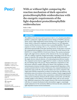 Comparing the Reaction Mechanism of Dark-Operative Protochlorophyllide