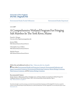 A Comprehensive Wetland Program for Fringing Salt Marshes in the Ory K River, Maine Pamela A