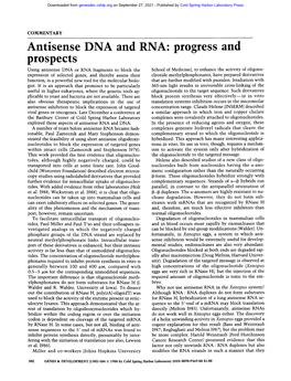 Antisense DNA And