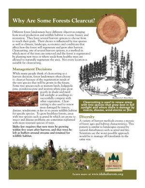 Download Why Are Some Forests Clearcut?