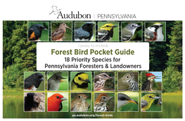 Forest Bird Pocket Guide 18 Priority Species for Pennsylvania Foresters & Landowners