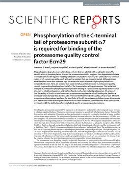 Phosphorylation of the C-Terminal Tail of Proteasome Subunit Α7 Is Required for Binding of the Proteasome Quality Control Factor Ecm29