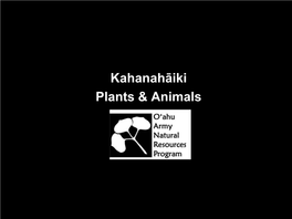 Kahanahāiki Plants & Animals