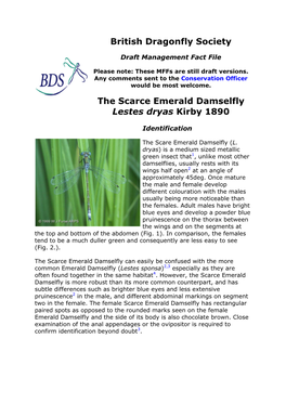 British Dragonfly Society the Scarce Emerald Damselfly Lestes Dryas Kirby 1890