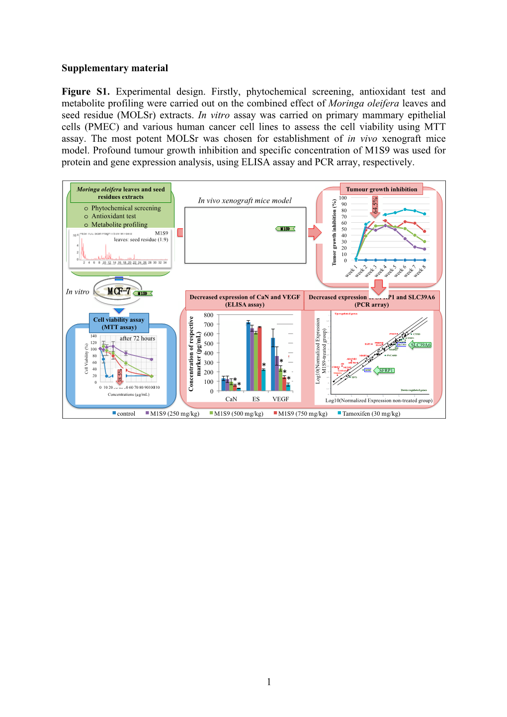 PDF-Document