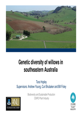 Genetic Diversity of Willows in Southeastern Australia