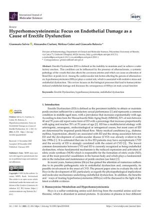 Hyperhomocysteinemia: Focus on Endothelial Damage As a Cause of Erectile Dysfunction