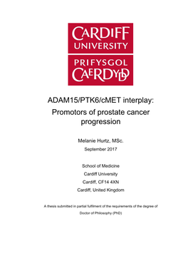 ADAM15/PTK6/Cmet Interplay: Promotors of Prostate Cancer