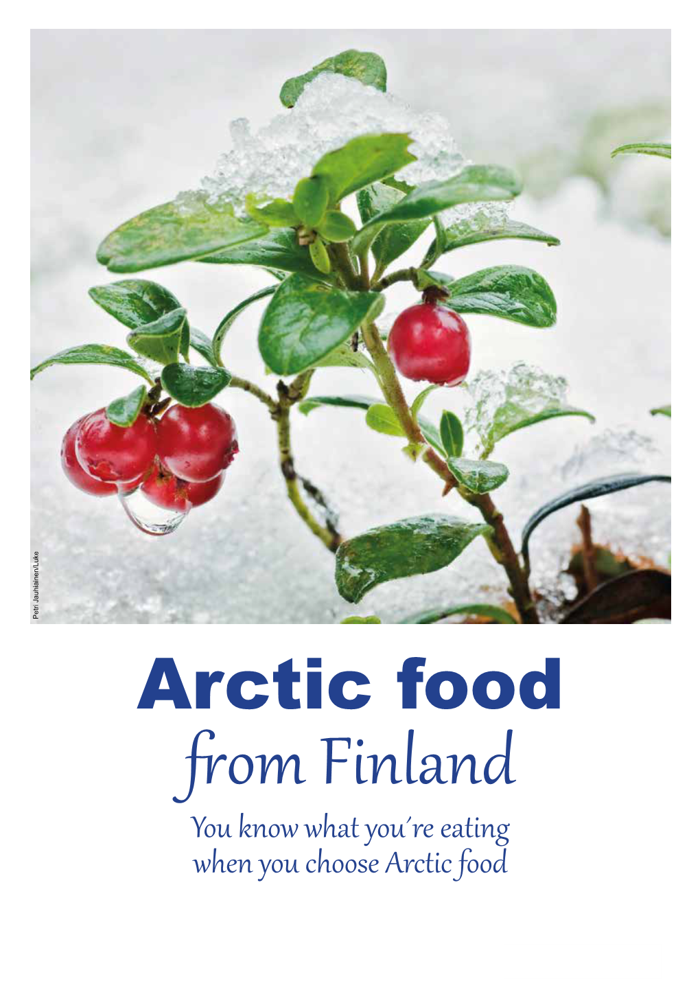 Artic Food from Finland English Brochure for Marketers