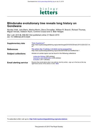 Gondwana Blindsnake Evolutionary Tree Reveals Long History On