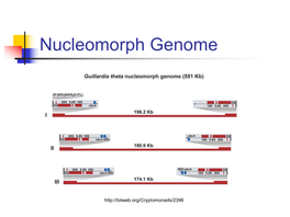 Nucleomorph Genome