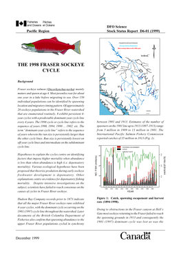 The 1998 Fraser Sockeye Cycle