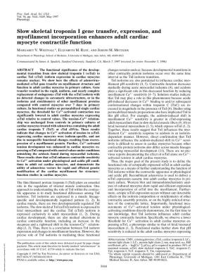 Slow Skeletal Troponin I Gene Transfer, Expression, and Myofilament Incorporation Enhances Adult Cardiac Myocyte Contractile Function
