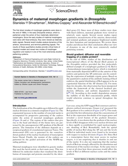 Dynamics of Maternal Morphogen Gradients in Drosophila Stanislav Y Shvartsman1, Mathieu Coppey1 and Alexander M Berezhkovskii2