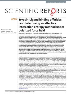 Trypsin-Ligand Binding Affinities Calculated Using an Effective