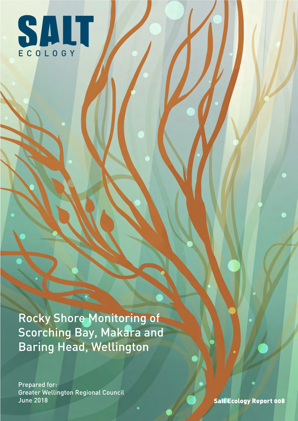 Rocky Shore Monitoring of Scorching Bay, Makara and Baring Head, Wellington